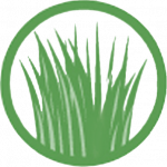 new grass icon