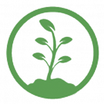 plant icon